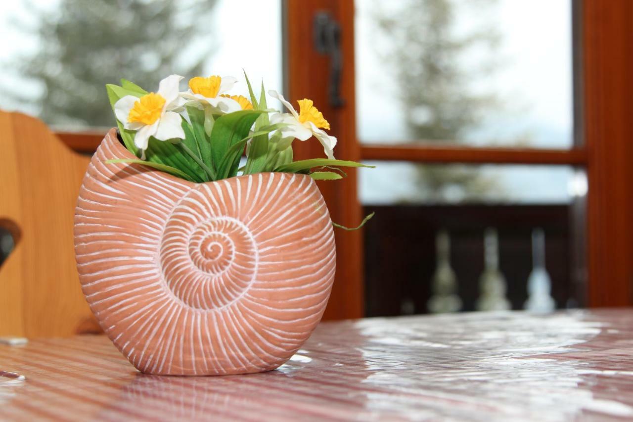 Alpenhaus Ganser-Dixit Mariazell Bagian luar foto