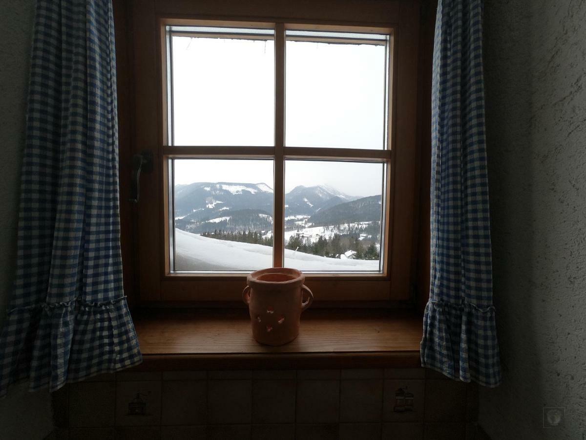Alpenhaus Ganser-Dixit Mariazell Bagian luar foto