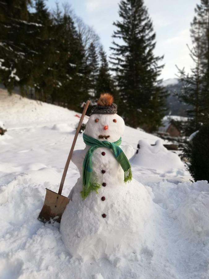 Alpenhaus Ganser-Dixit Mariazell Bagian luar foto