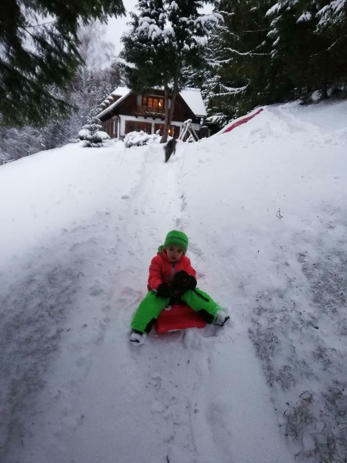Alpenhaus Ganser-Dixit Mariazell Bagian luar foto