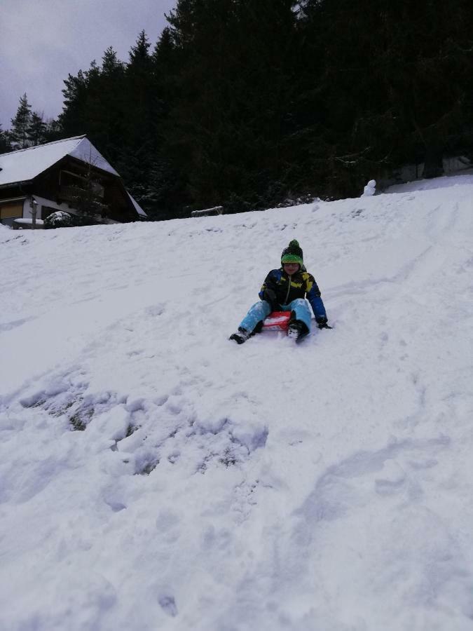 Alpenhaus Ganser-Dixit Mariazell Bagian luar foto